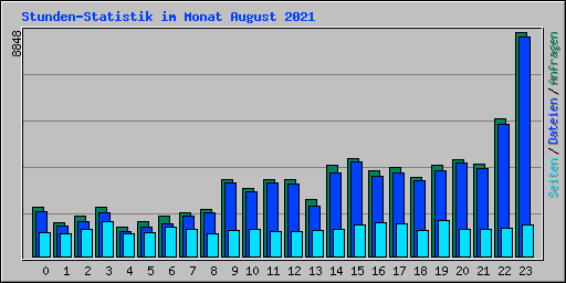 Stunden-Statistik im Monat August 2021